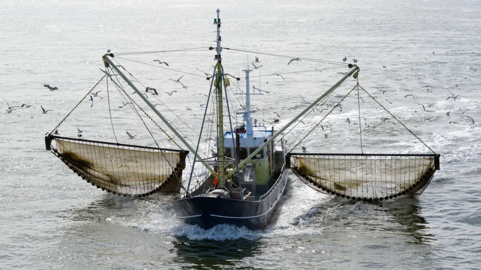 Schleppnetzfischerei